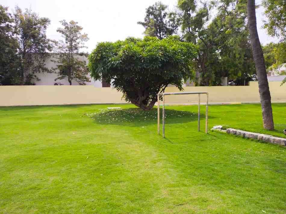 Landscape Design